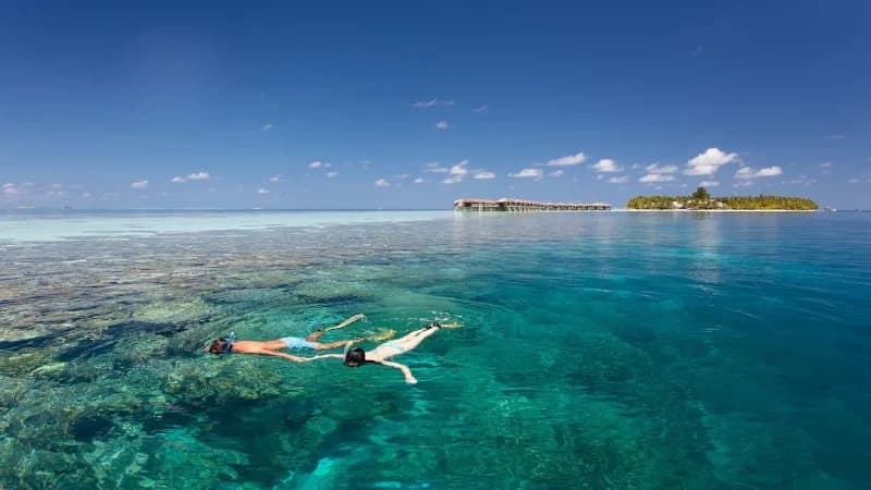 Schnorcheln und Hausriff in Makadi Bay